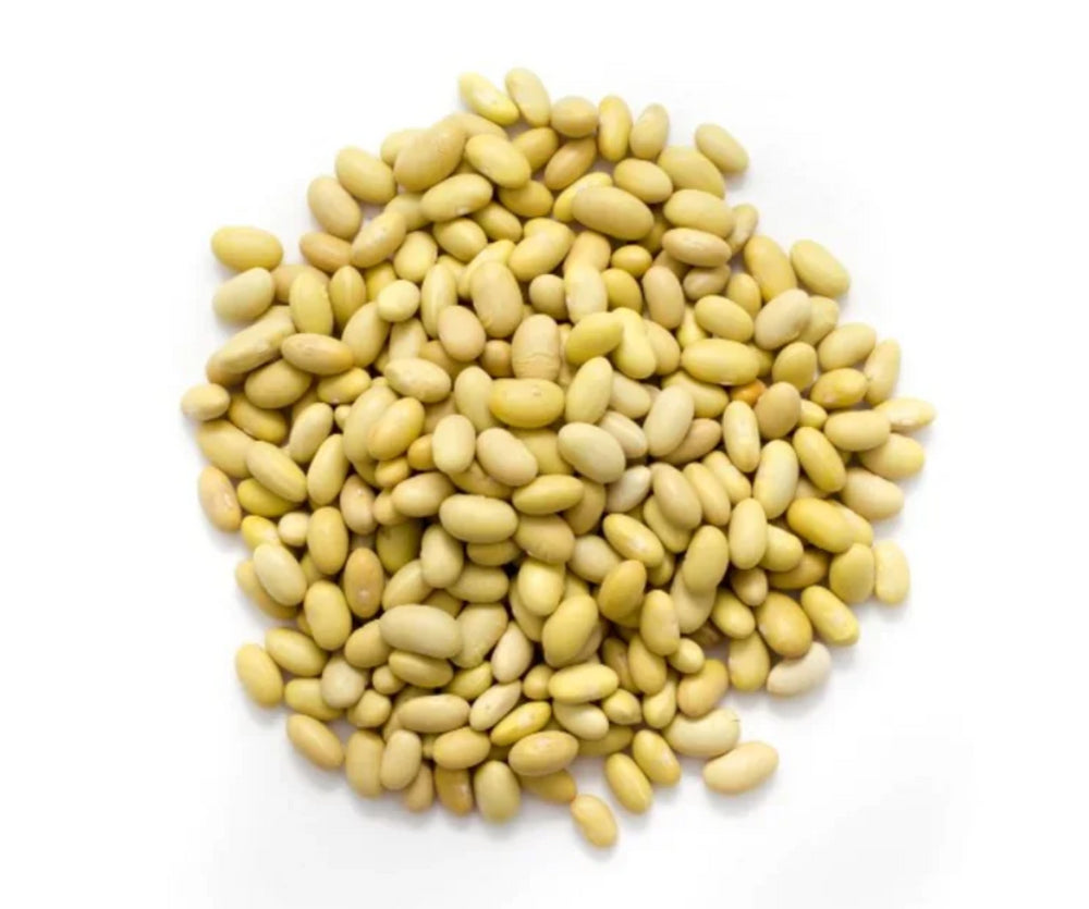 FRIJOL CANARIO MAYOCOBA (PERU) 1/50LBS