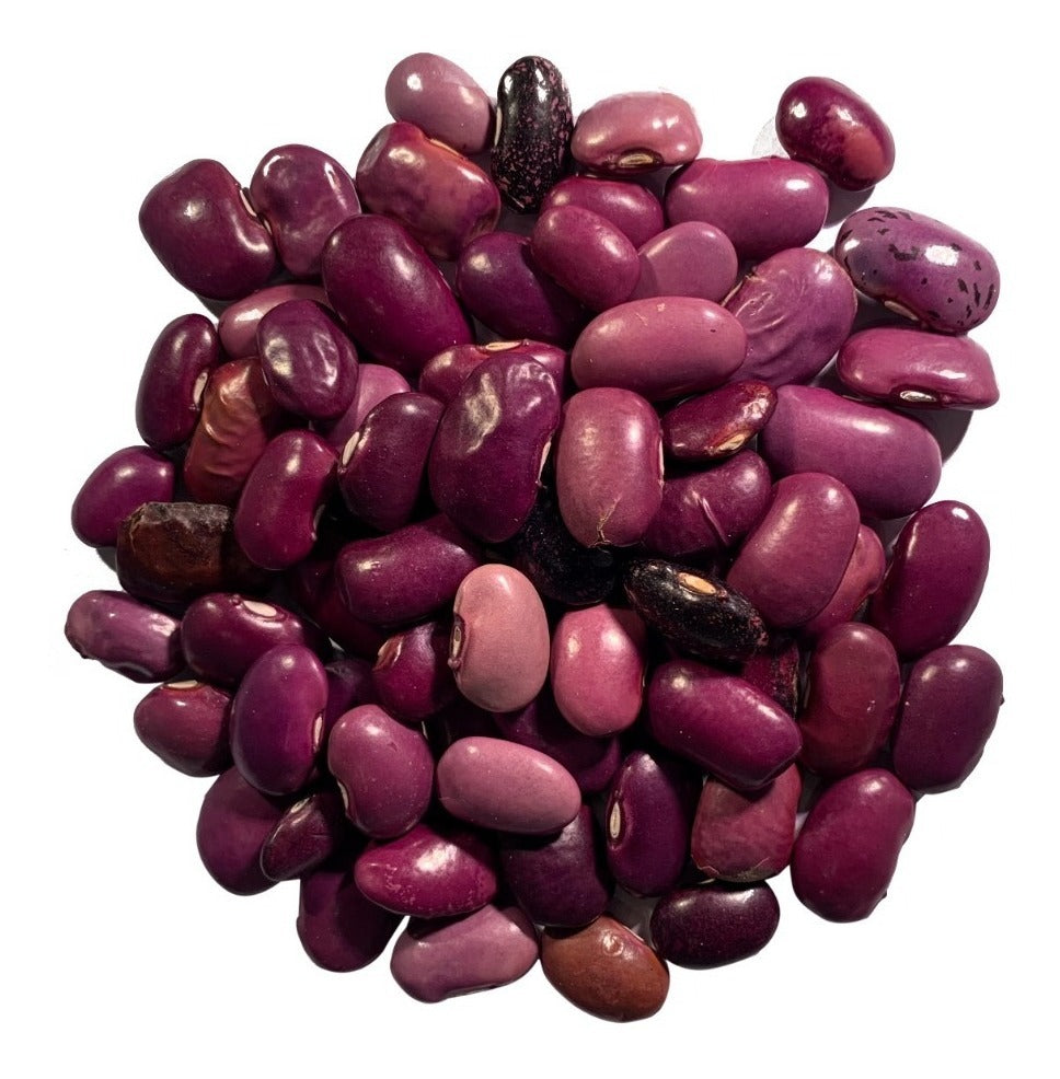 FRIJOL AYOCOTE 1/ 55lbs