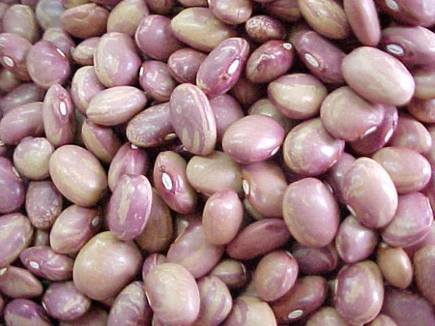 FRIJOL FLOR DE MAYO 55 LBS