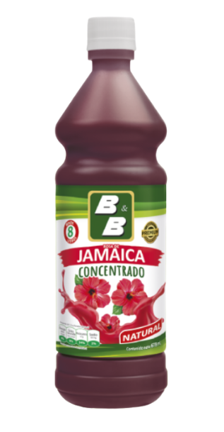 B&B CONCENTRADO JAMAICA 12/ 678ml
