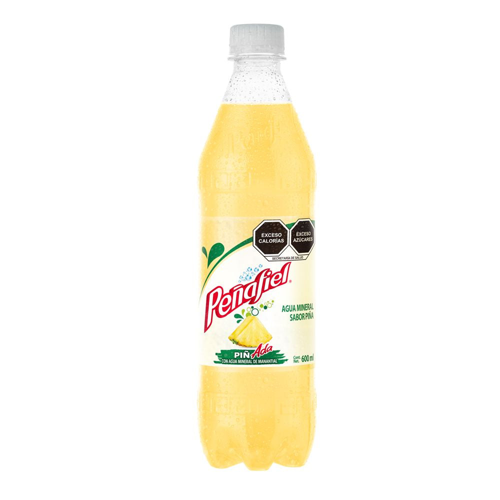 PENAFIEL PINADA 24/600 ML