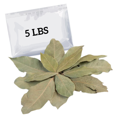 HOJA DE LAUREL (EGYPTO)