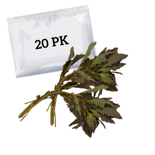 EPAZOTE EN RAMA BUNCH 400 PZS