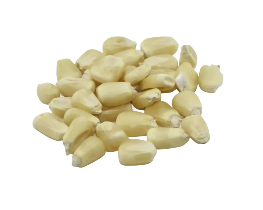 MAIZ BLANCO PARA TORTILLA 1/ 50 LBS