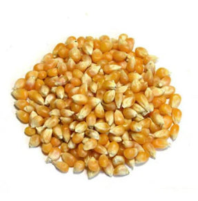 MAIZ PALOMERO 55LBS