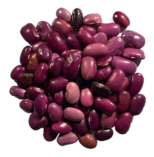 FRIJOL AYOCOTE 1/ 55lbs