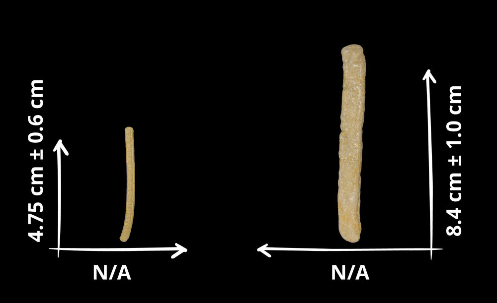 PALMEX PAPA FRANCESA 33 LBS
