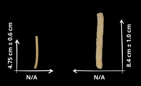 PALMEX PAPA FRANCESA 33 LBS