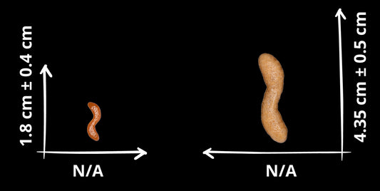 PALMEX ROTINI 44 LBS
